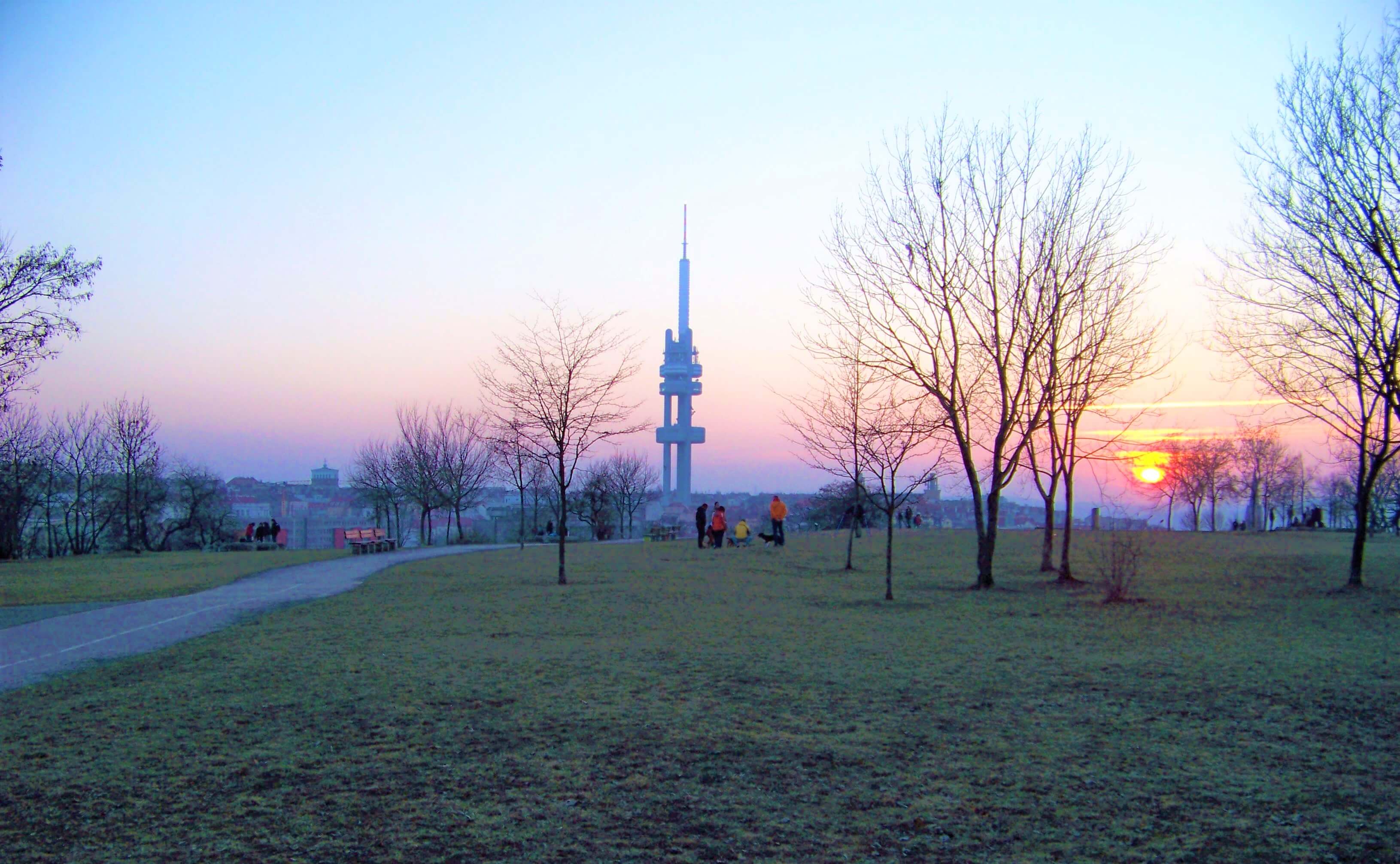 זיזקוב פרוקזקה.jpg
